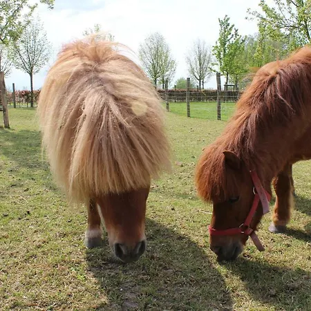 Domein Rietvelde Сasa de vacaciones *