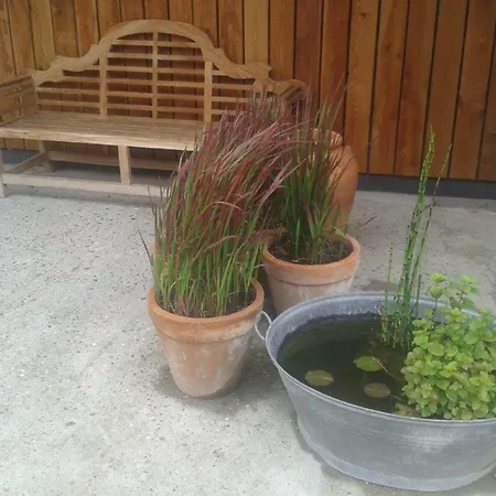 Сasa de vacaciones Domein Rietvelde Oostduinkerke