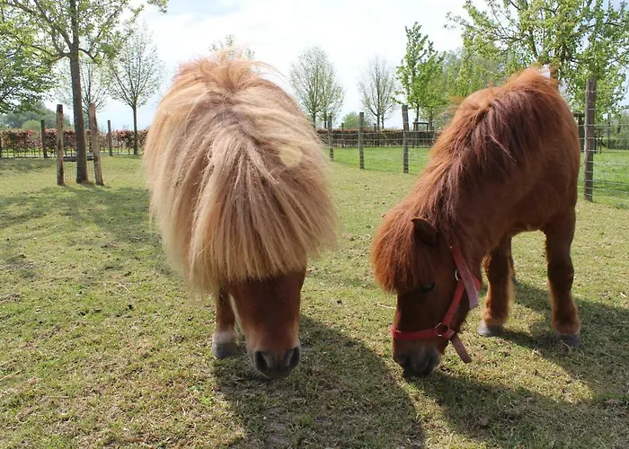 Domein Rietvelde Vakantiehuis *