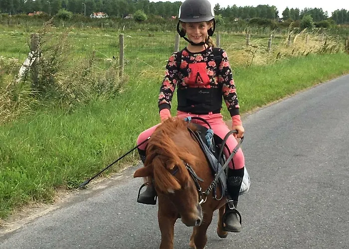 Domein Rietvelde Vakantiehuis *